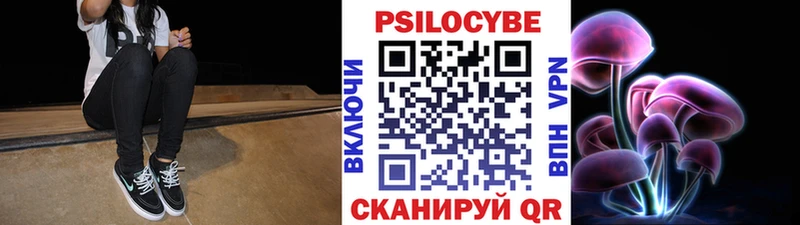 Псилоцибиновые грибы Psilocybe  купить  сайты  Удачный 