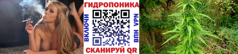 Каннабис планчик  закладка  Удачный 